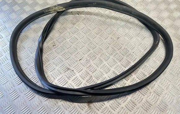 BMW X6 E71 Rubber seal front coupe door 