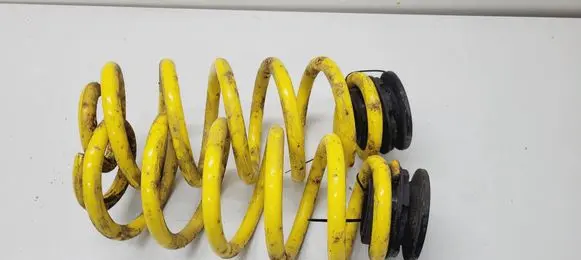 Skoda Octavia Mk3 (5E) Rear coil spring