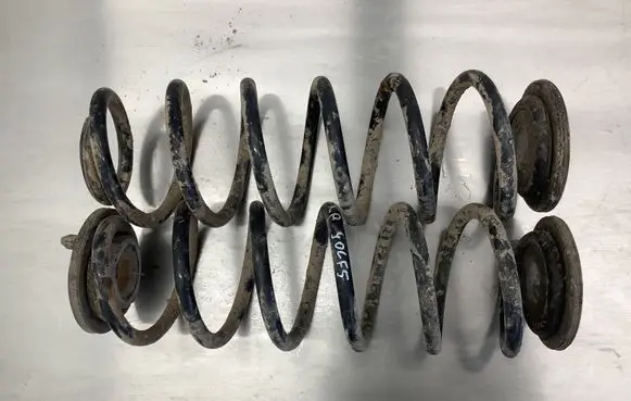 Volkswagen Golf V Rear coil spring 