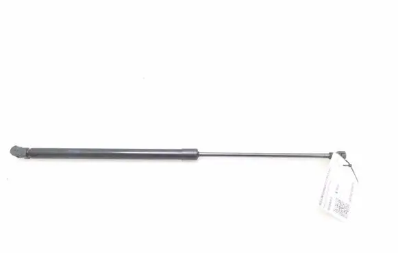 Tailgate strut