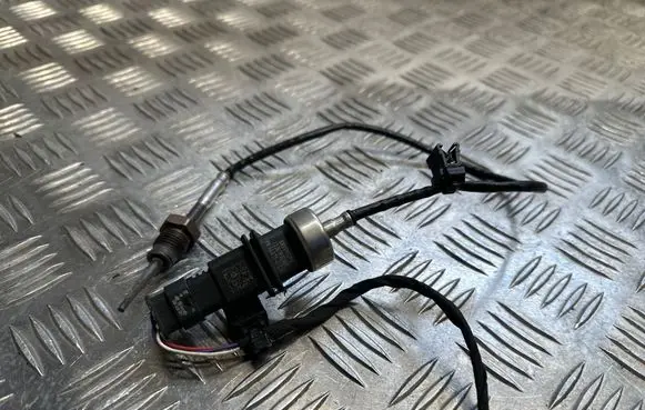 Porsche Cayenne (9Y0 9Y3) Exhaust gas temperature sensor 8W0919529G 132819001865