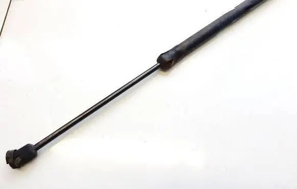 Tailgate/trunk strut/damper