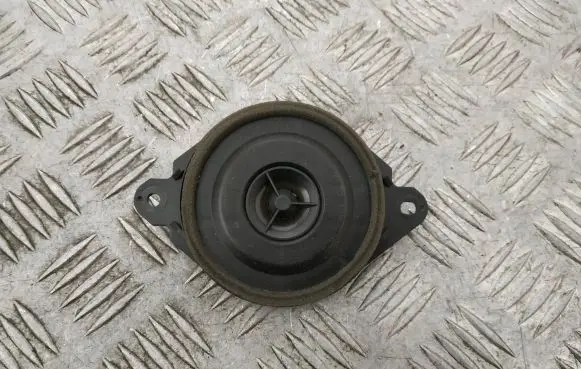 Panel speaker