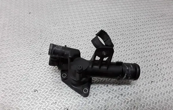 Thermostat/thermostat housing