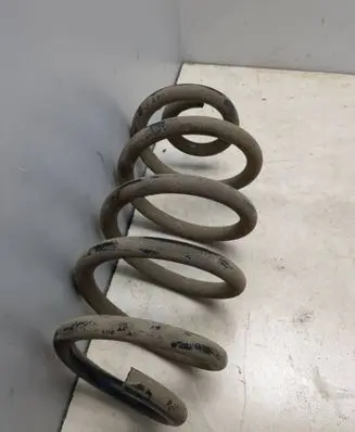 Rear coil spring