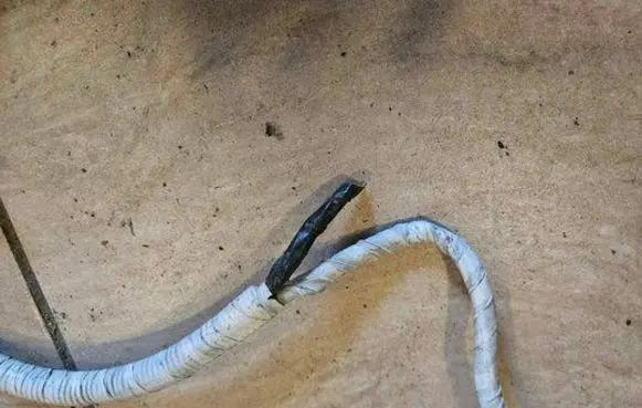 Engine installation wiring loom