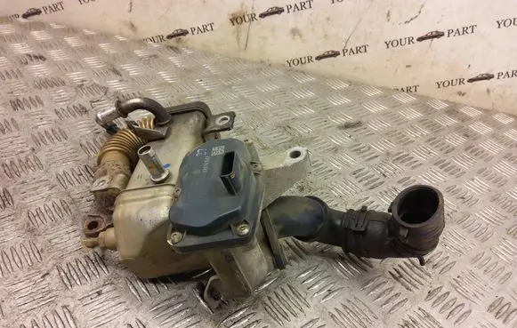 Renault Trafic III (X82) EGR valve 147100789R