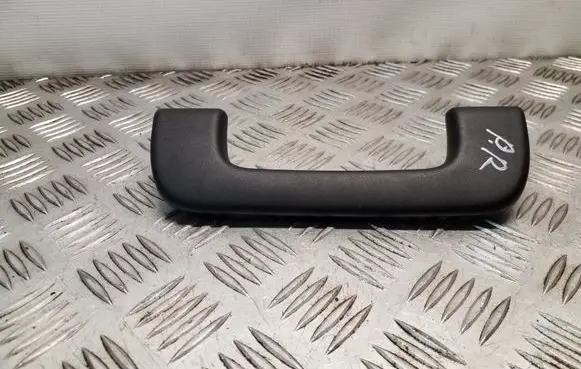 Front interior roof grab handle