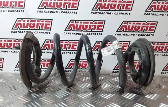 Tesla Model 3 Rear coil spring 104447294A