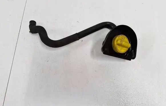 Renault Trafic III (X82) Oil fill pipe 8200795333