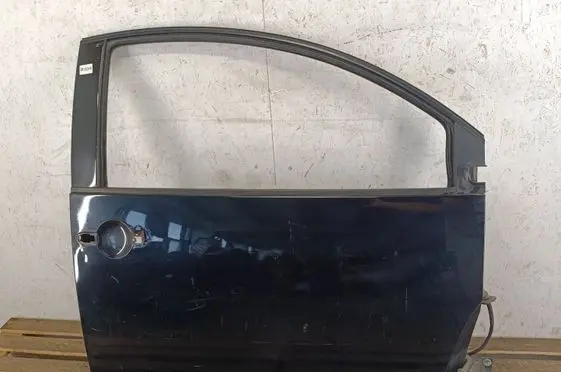 Volkswagen New Beetle Front door