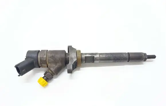 Citroen C4 I Fuel injector 0445110259