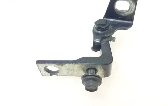 Ford Escape IV Rear door lower hinge 2919 1118