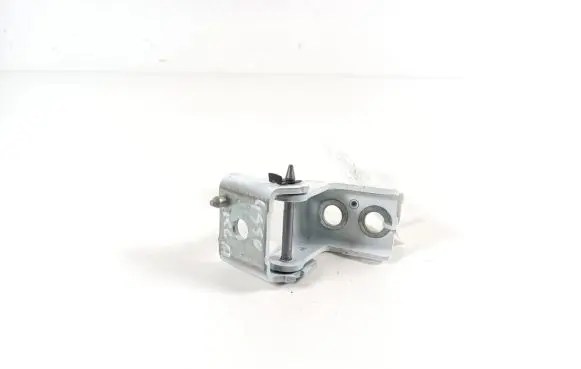 Rear door lower hinge