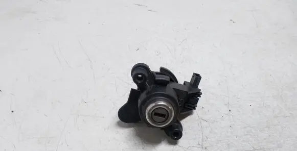 BMW 3 E46 Tailgate exterior lock 8196052