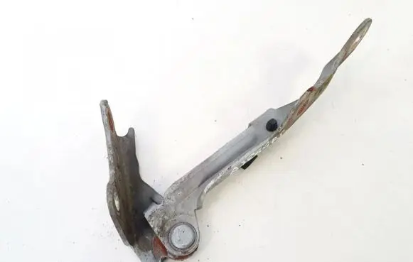 Hyundai Trajet Engine bonnet/hood hinges