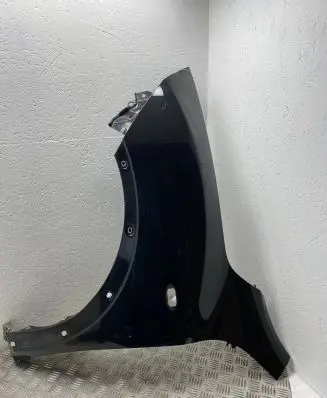 Nissan Juke I F15 Fender