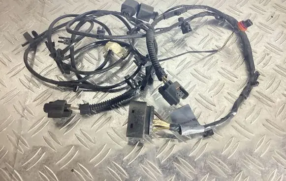 Volkswagen PASSAT CC Parking sensor (PDC) wiring loom 3C8971095AG