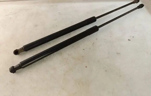 Tailgate/trunk strut/damper
