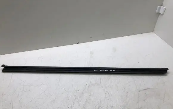 Volkswagen Tiguan Allspace Rear door glass trim molding