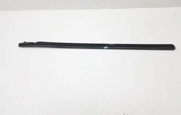 Ford Focus C-MAX Rear door glass trim molding