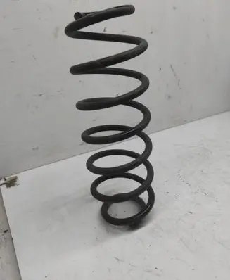 Rear coil spring