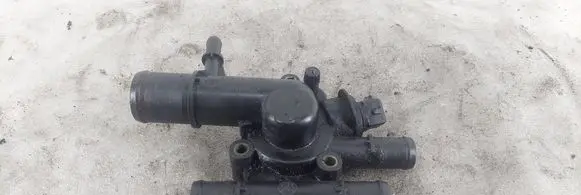 Thermostat/thermostat housing
