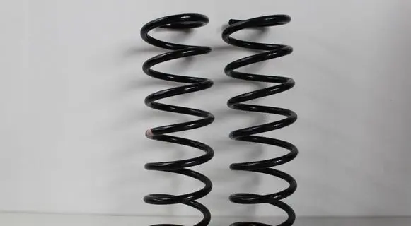 Ford Focus Rear coil spring 