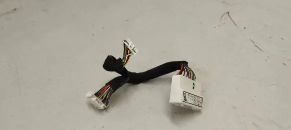 Other wiring loom