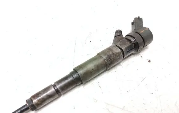 BMW 5 E39 Fuel injector 0445110029 2354093