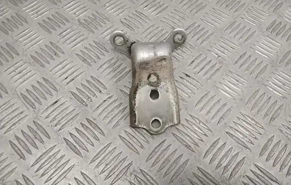 Opel Antara Front door lower hinge 11E30