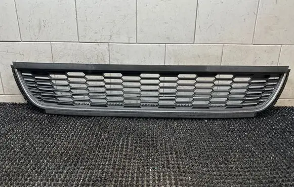 Front bumper lower grill
