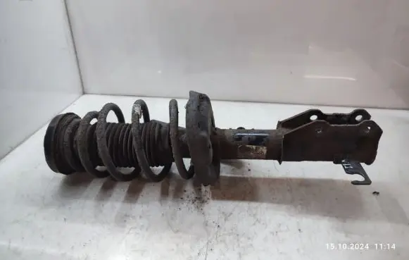 Opel Insignia A Front shock absorber with coil spring 367327926