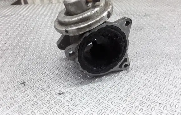 Volkswagen Golf V EGR valve 038131501AN