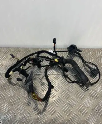 Audi A6 C7 Front door wiring loom 4G5971029AC TAB010403Q