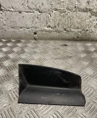 Rear/tail light trim molding