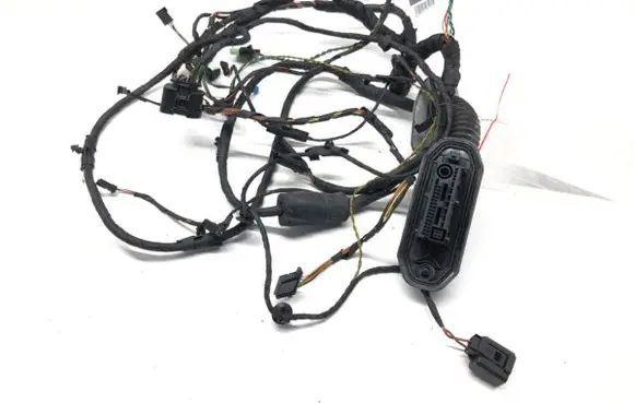 Front door wiring loom