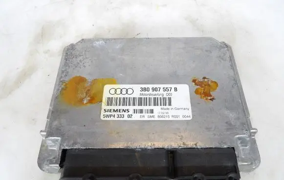 Engine control unit/module ECU
