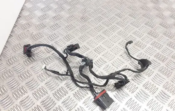 Other wiring loom