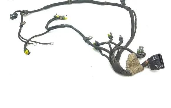 Engine installation wiring loom