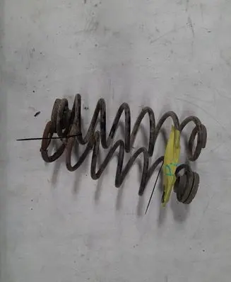 Rear coil spring