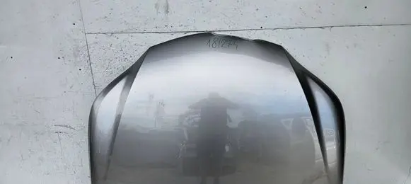 Lexus NX Engine bonnet/hood 