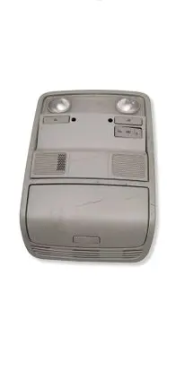 Volkswagen PASSAT B6 Front seat light 3C0867489C