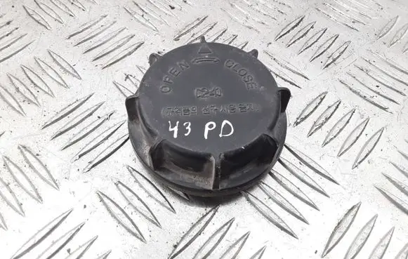 Hyundai Sonata Headlight/headlamp dust cover
