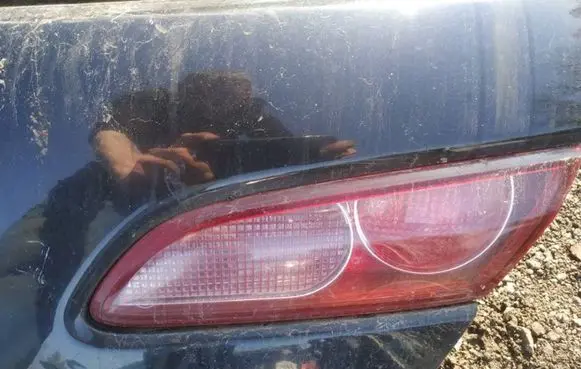 Tailgate rear/tail lights