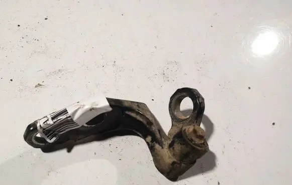 Ford Focus C-MAX Rear door lower hinge