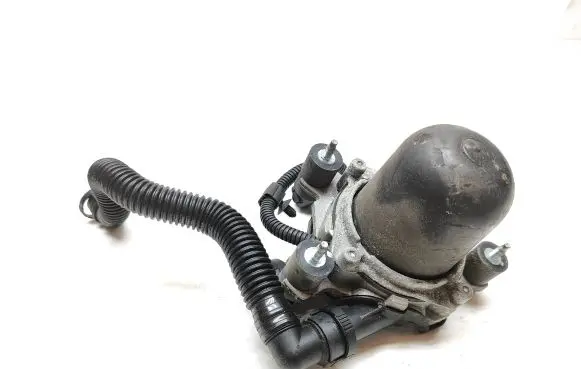 Volkswagen Touareg II Secondary air pump 11800068
