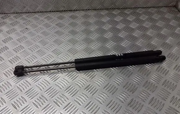 Renault Scenic II - Grand scenic II Tailgate/trunk/boot tension spring BRAK