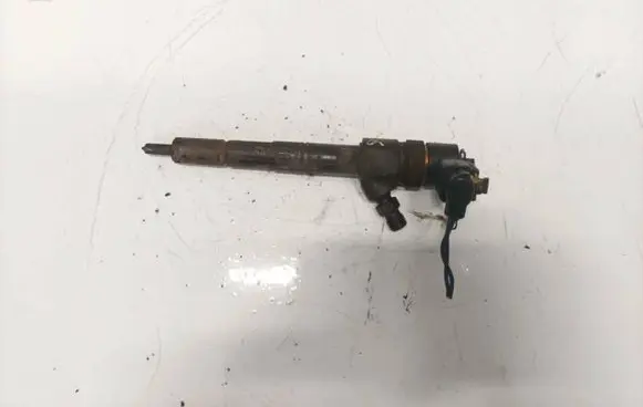 Fiat Croma Fuel injector 0445110243