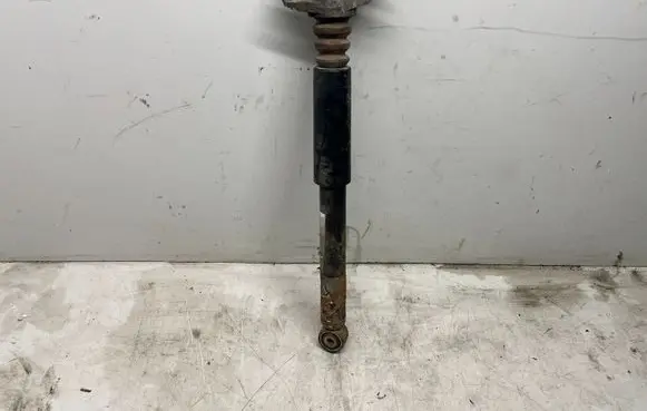 Volkswagen PASSAT B6 Rear shock absorber/damper 3C0513049BS